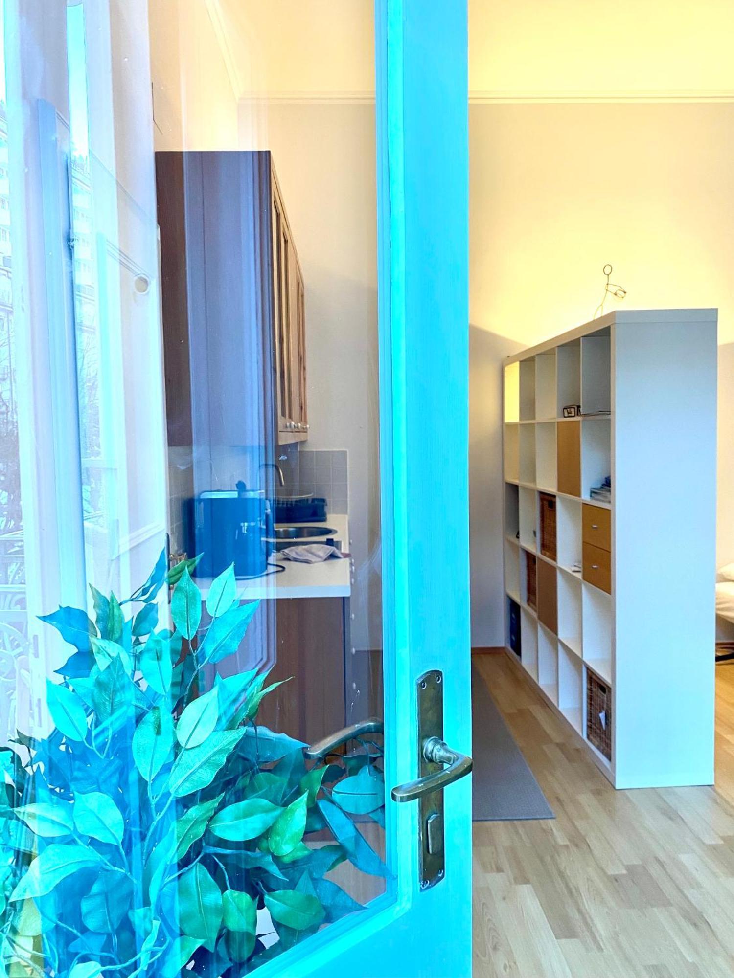 Executive Apartment 2 バードガシュタイン エクステリア 写真